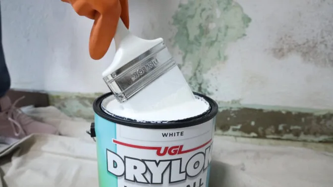 How Long to Wait After Priming Before Painting?